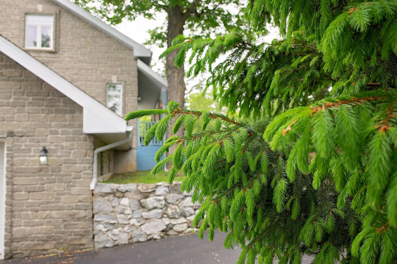 Rock Hill Bed & Breakfast Sharbot Lake Exteriér fotografie